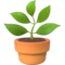 Potted Plant emoji on Apple